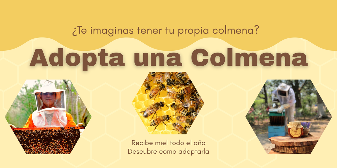 Adopta una Colmena