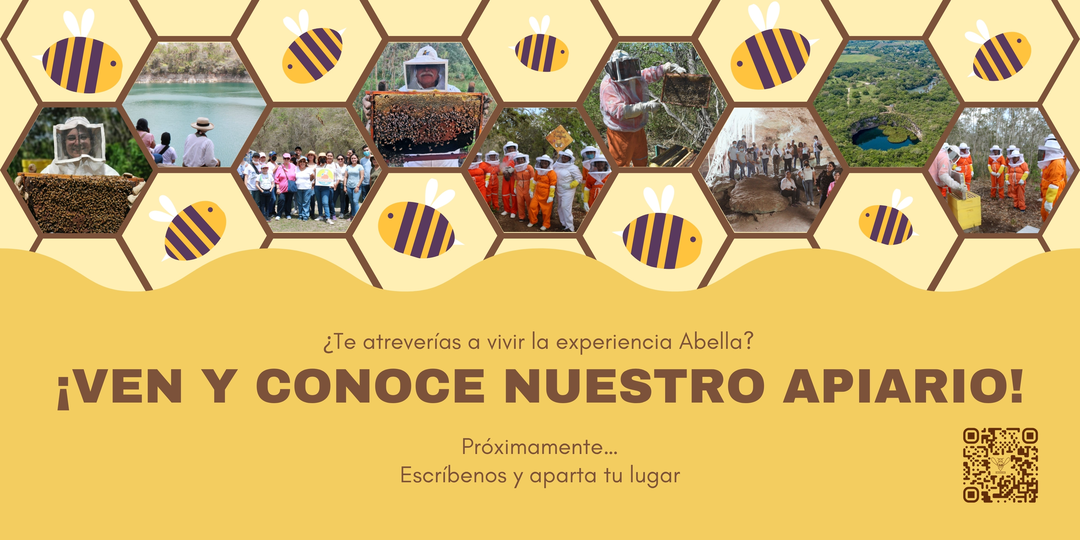 Visita el Apiario